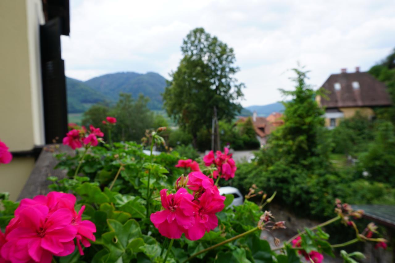 Hotel Mariandl Spitz an der Donau Eksteriør billede